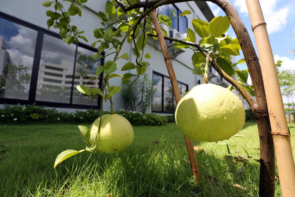 S Ratchada Leisure Hotel - Sha Plus Bangkok Eksteriør bilde Citrus ×sinensis